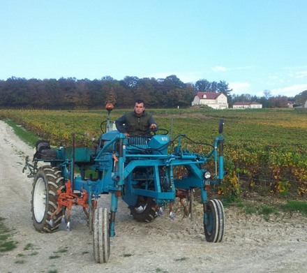 labour d'automne - Champagne - soft ploughing